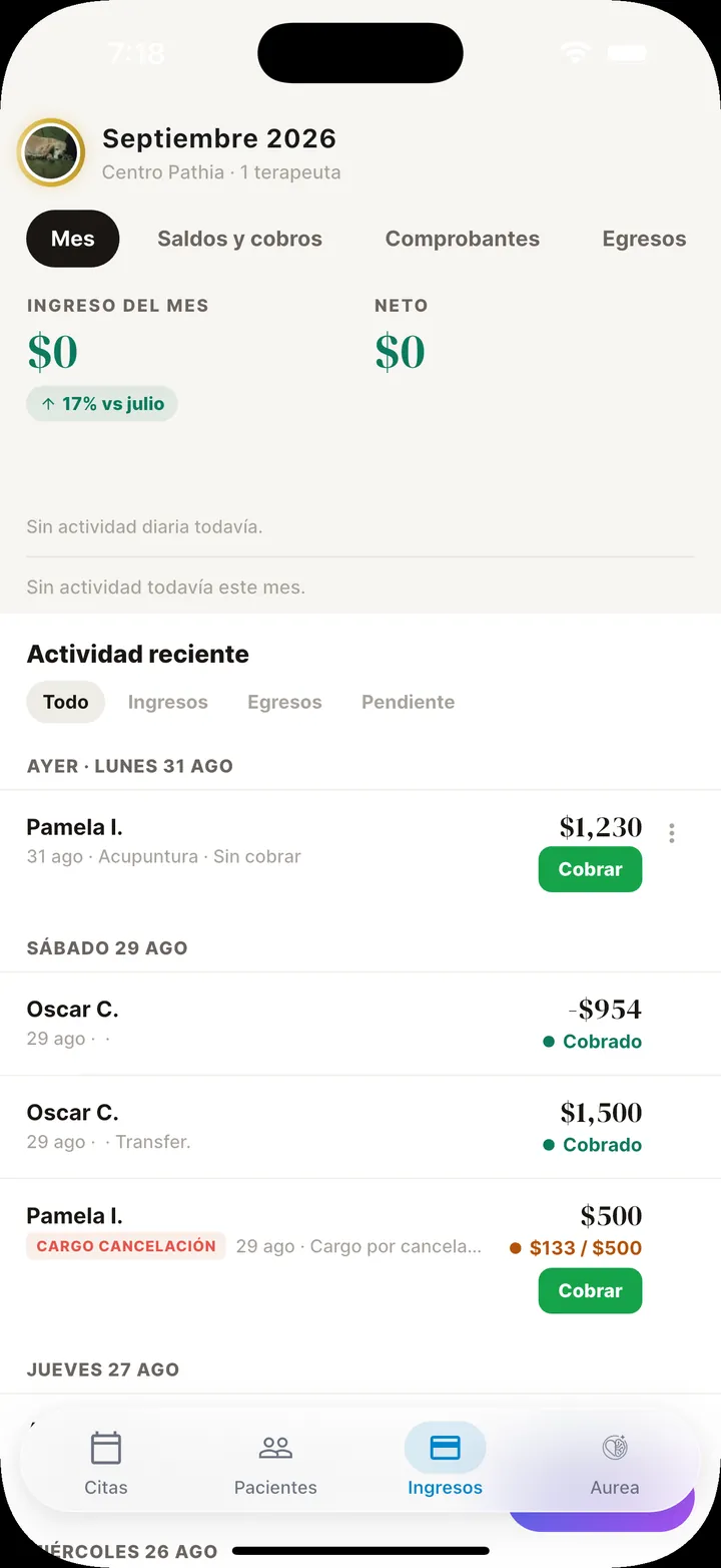 Los ingresos de tu consultorio